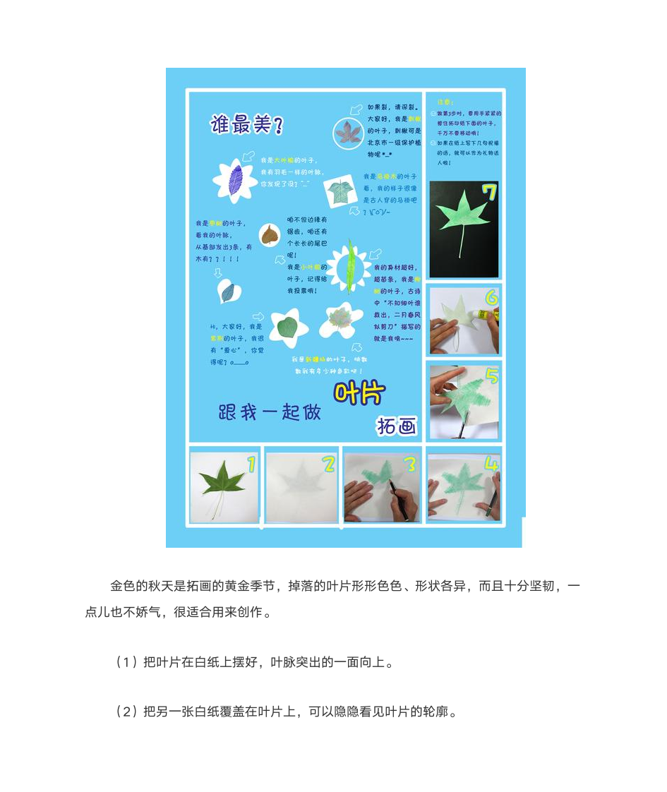 收银机的历史第20页