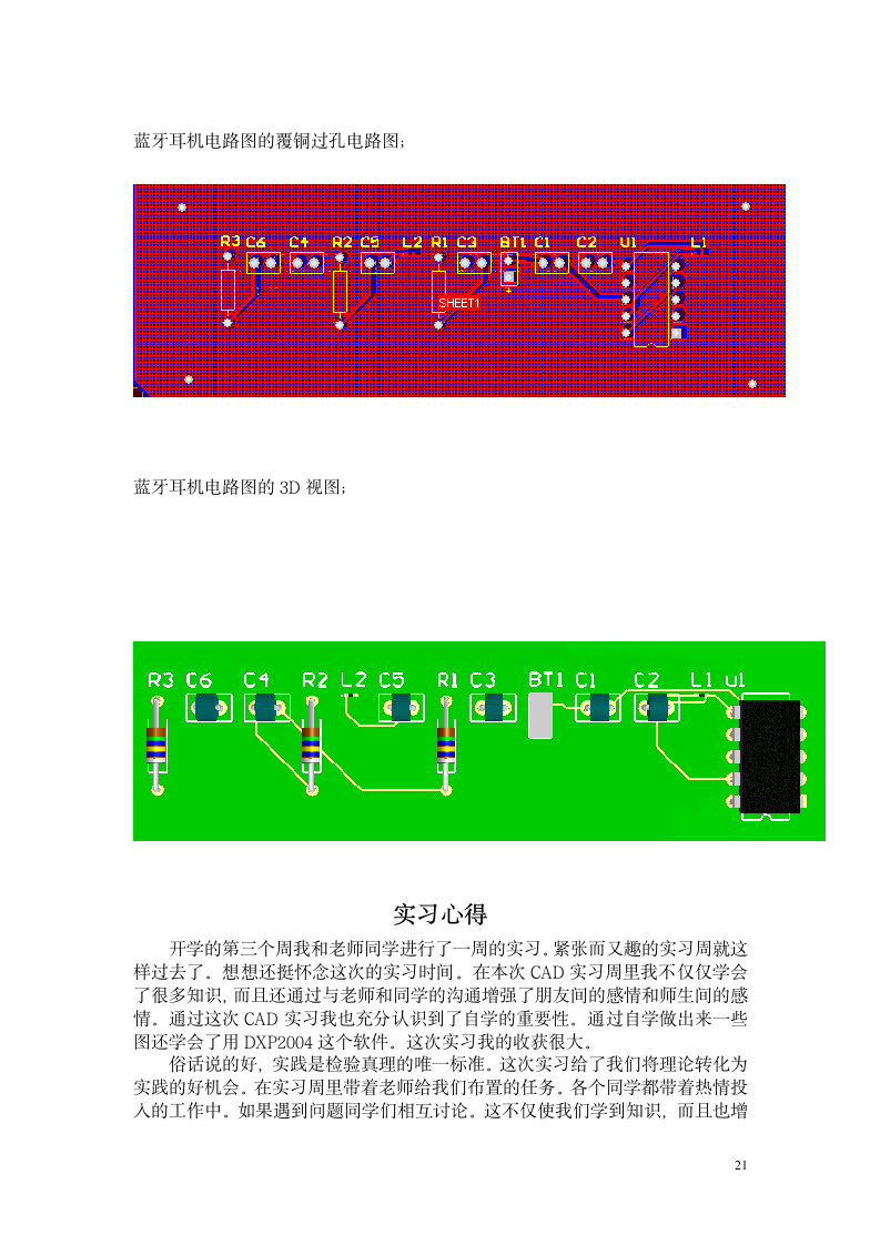 CAD实习报告第21页