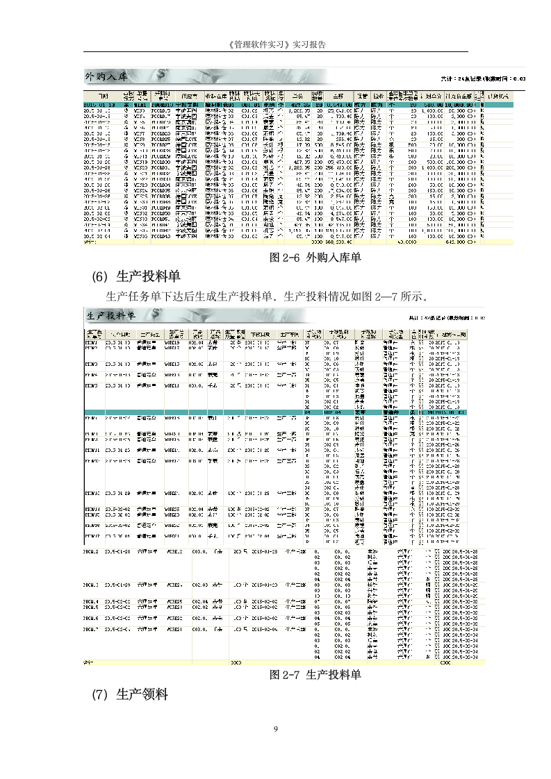 ERP实习报告第9页