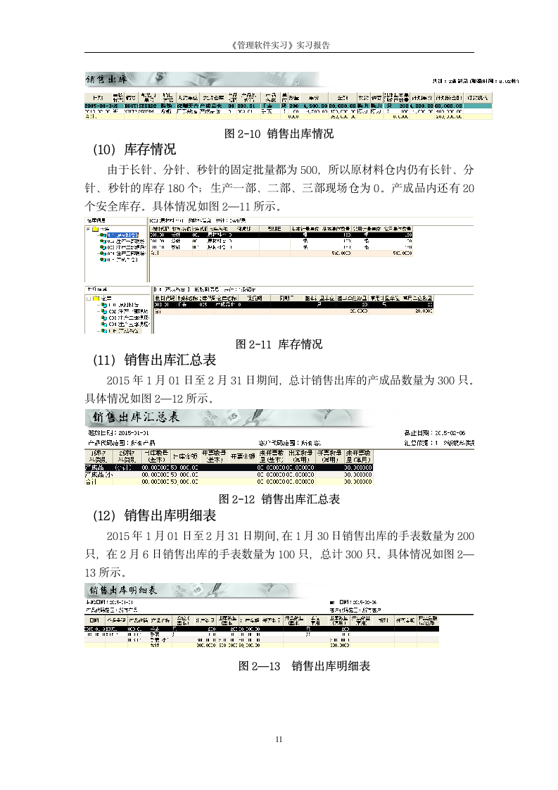 ERP实习报告第11页