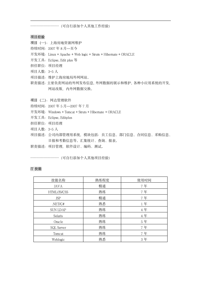 简历模板(IT中文)第3页