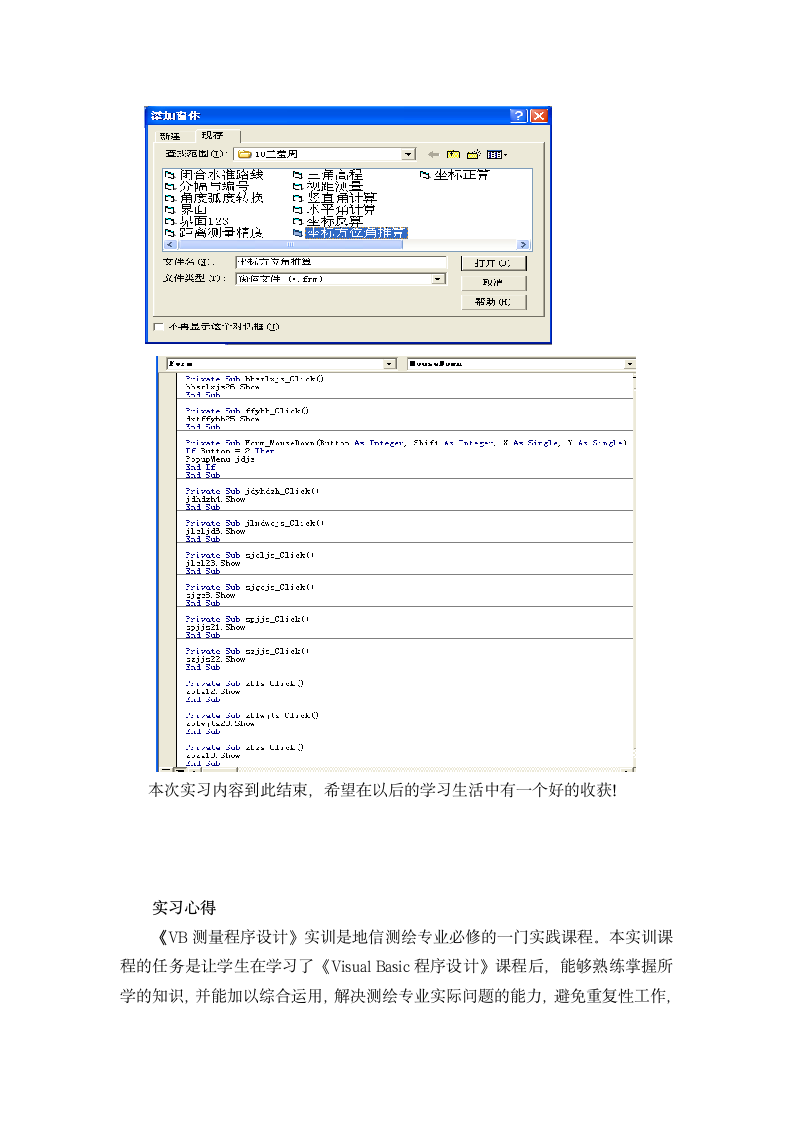 VB实习报告第10页