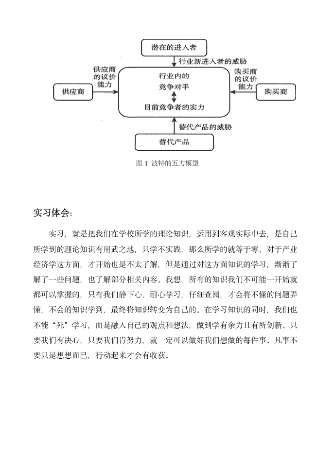 产业经济学实习报告第8页