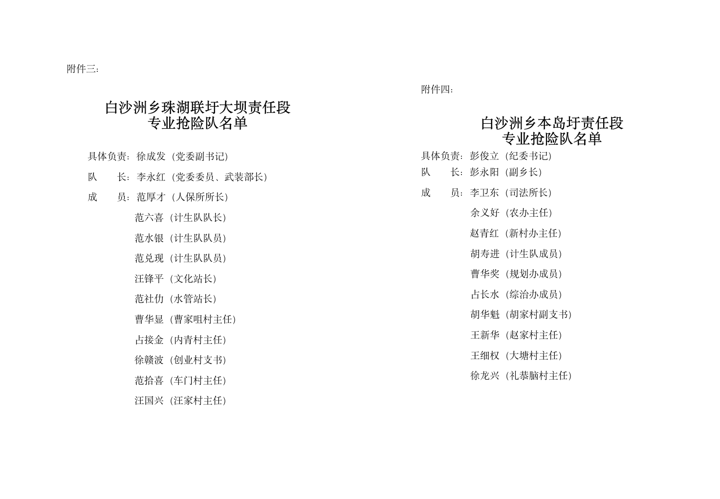 防汛实施方案第4页