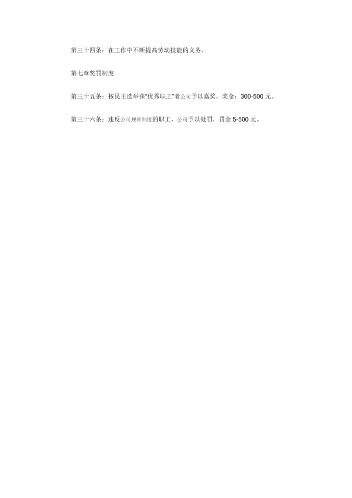 公司规章制度第4页