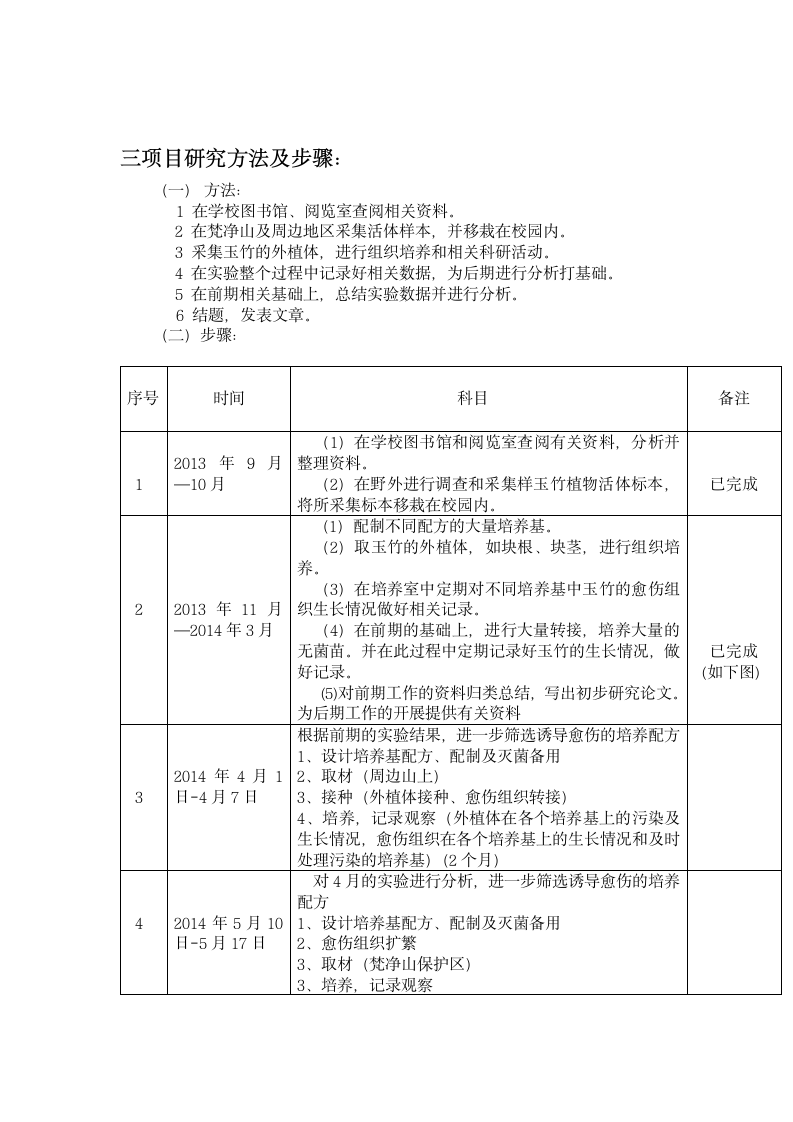 项目实施方案第4页