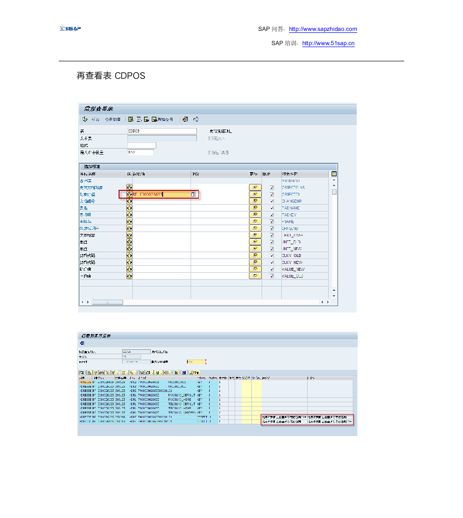 SAP系统业务-查询系统日志信息第5页