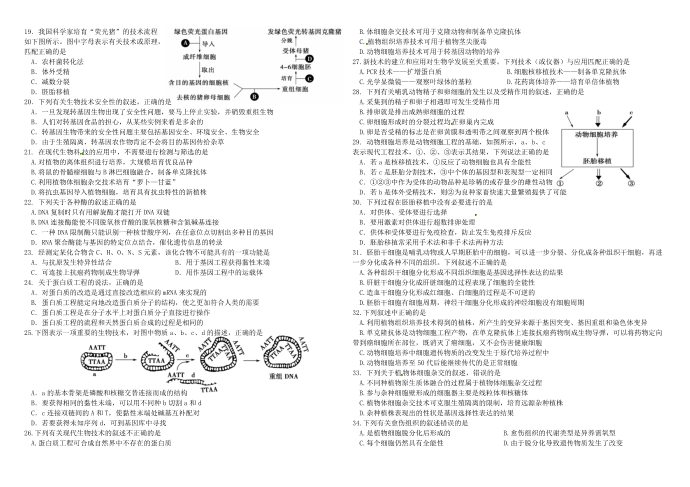 生物选修三、选修一试卷第2页