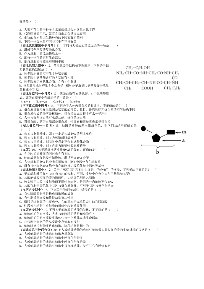 生物必修一试卷C(修改)第2页