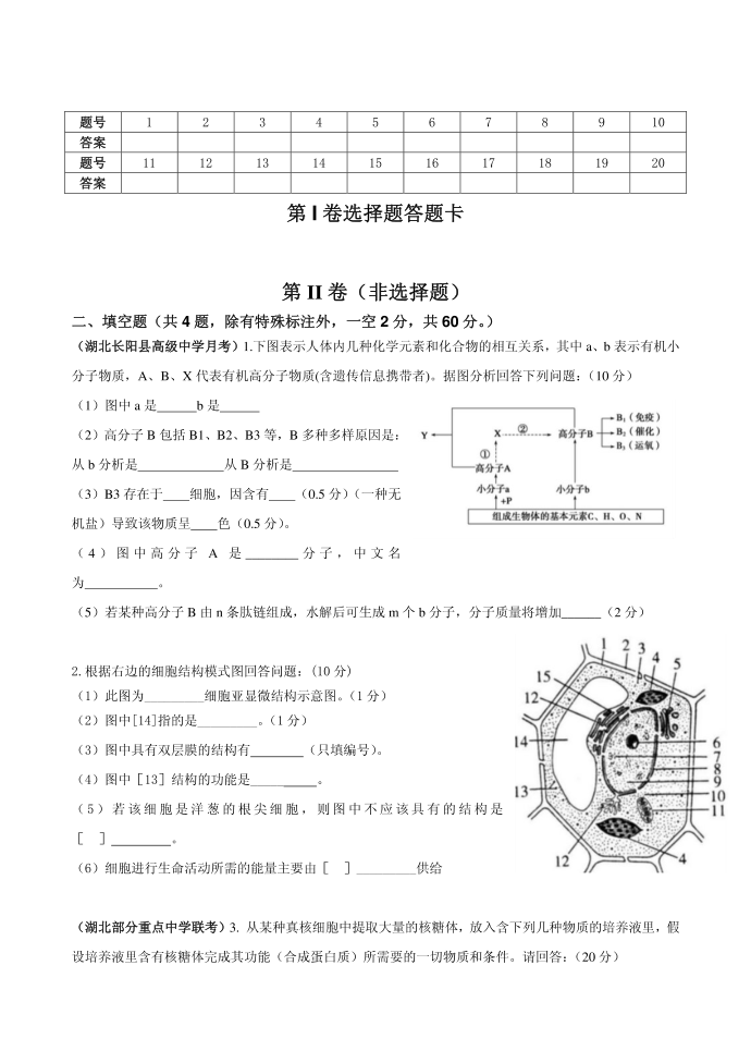 生物必修一试卷C(修改)第3页