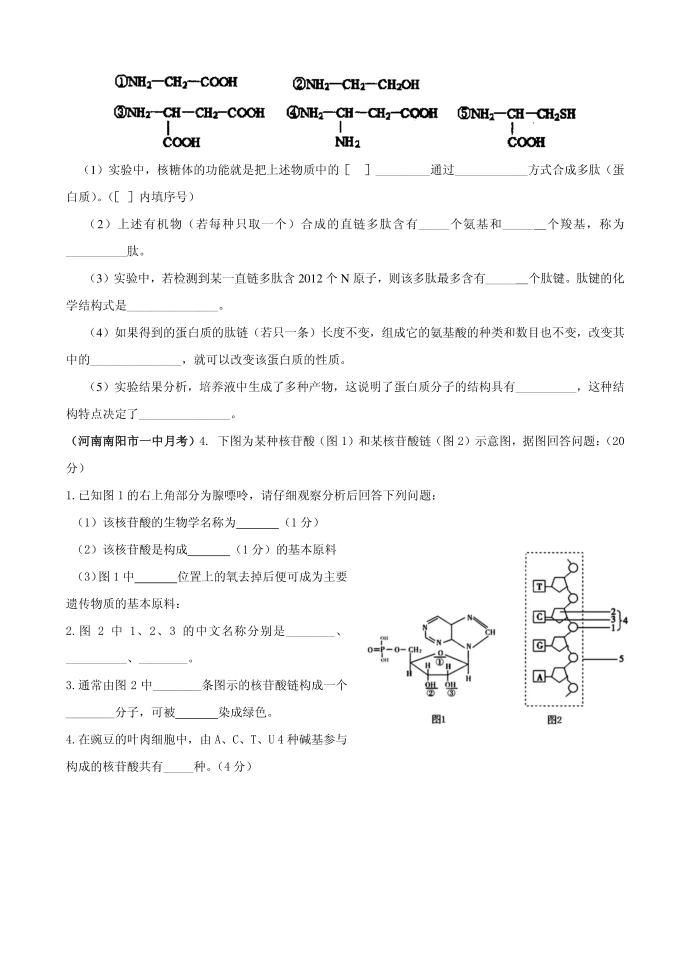 生物必修一试卷C(修改)第4页