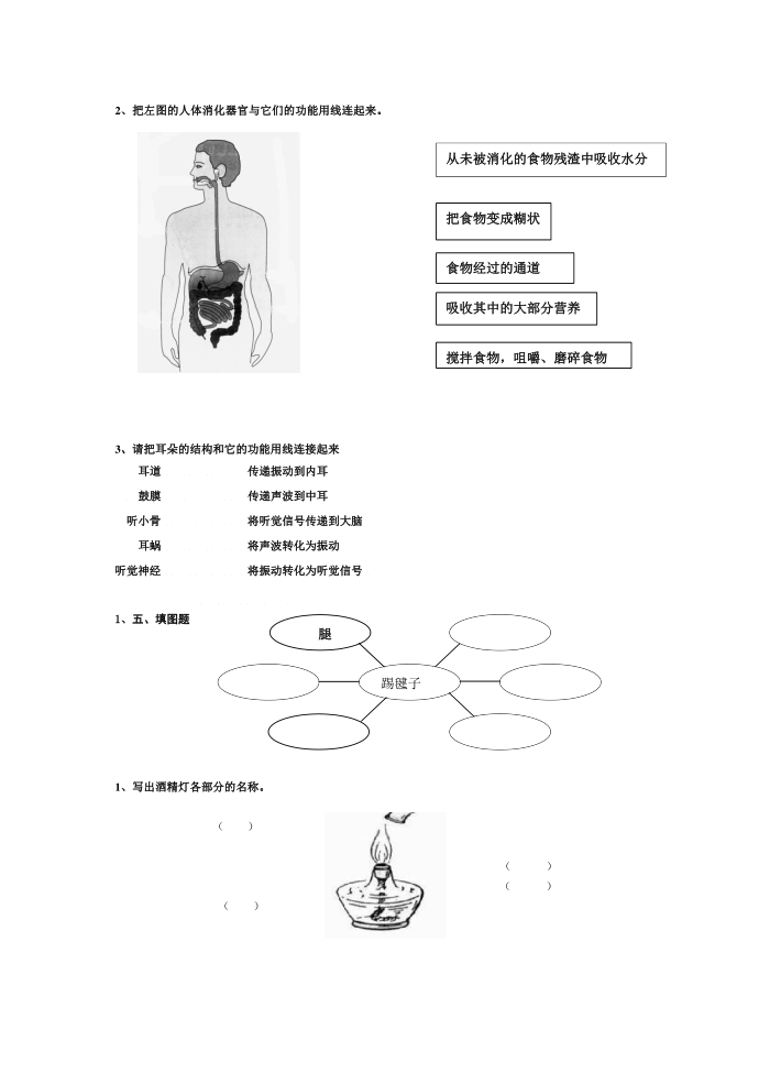 四年级试卷2第4页