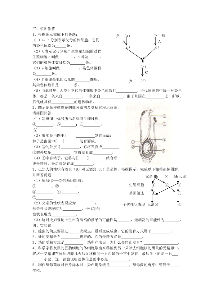 初二生物下册期中测试卷(二)第3页