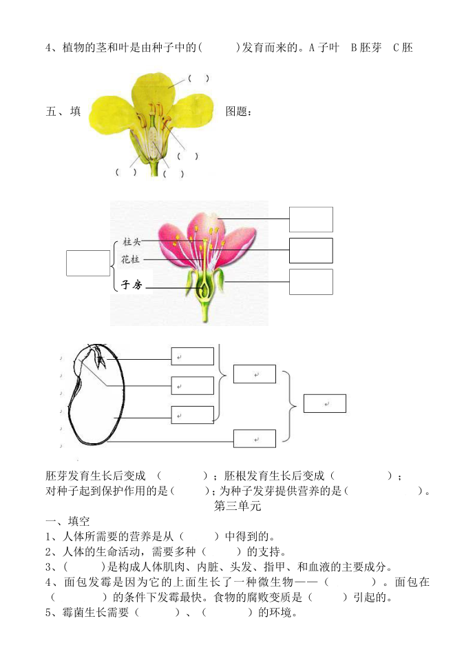 四年级科学下册第3页