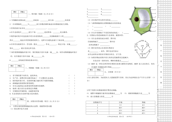 六年级生物试题第4页