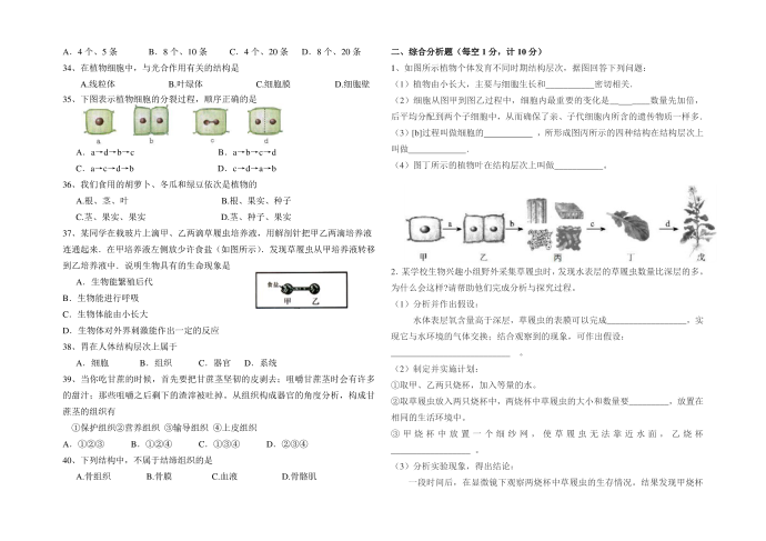 初一生物试卷第2页