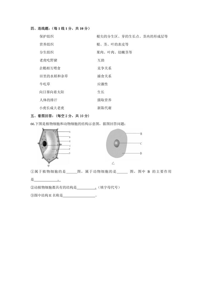 人教版 初一上册生物期中试卷第4页