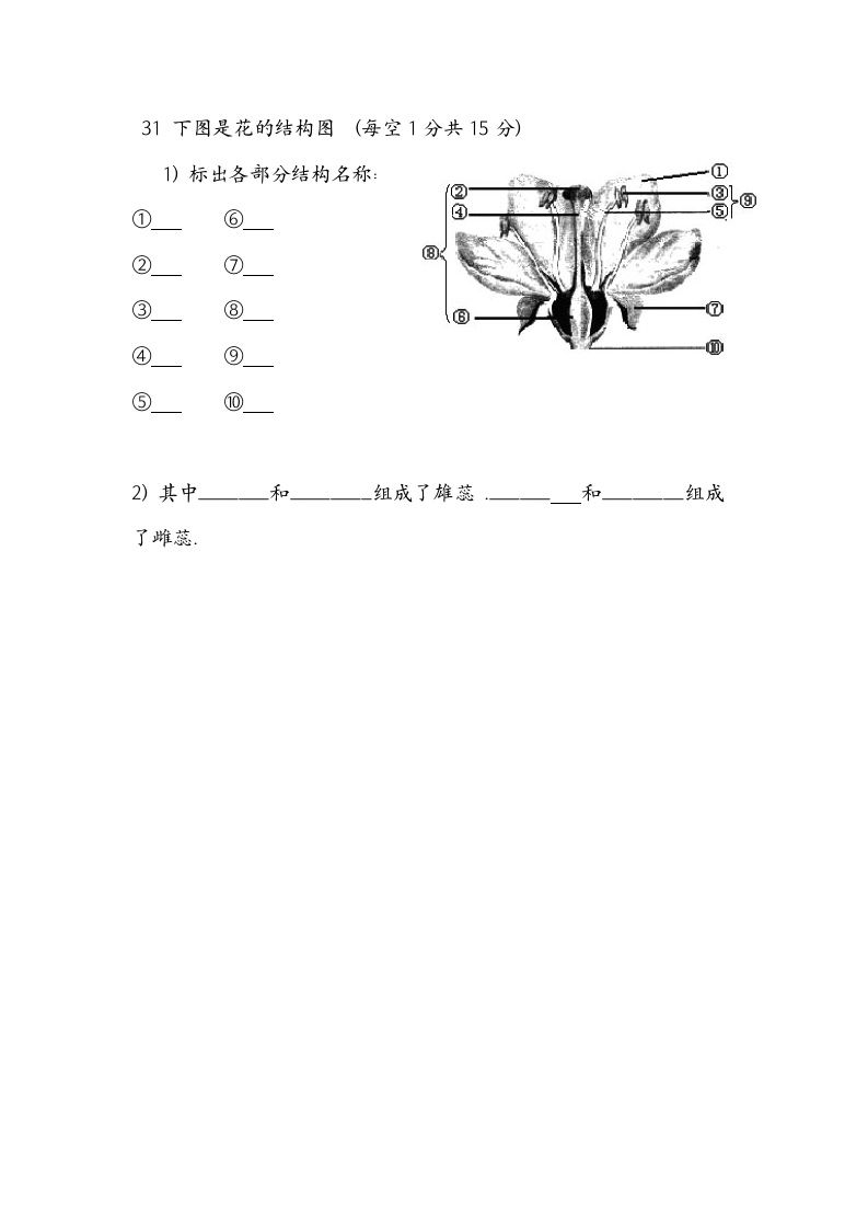 初一生物期末试卷及答案(人教版)第7页