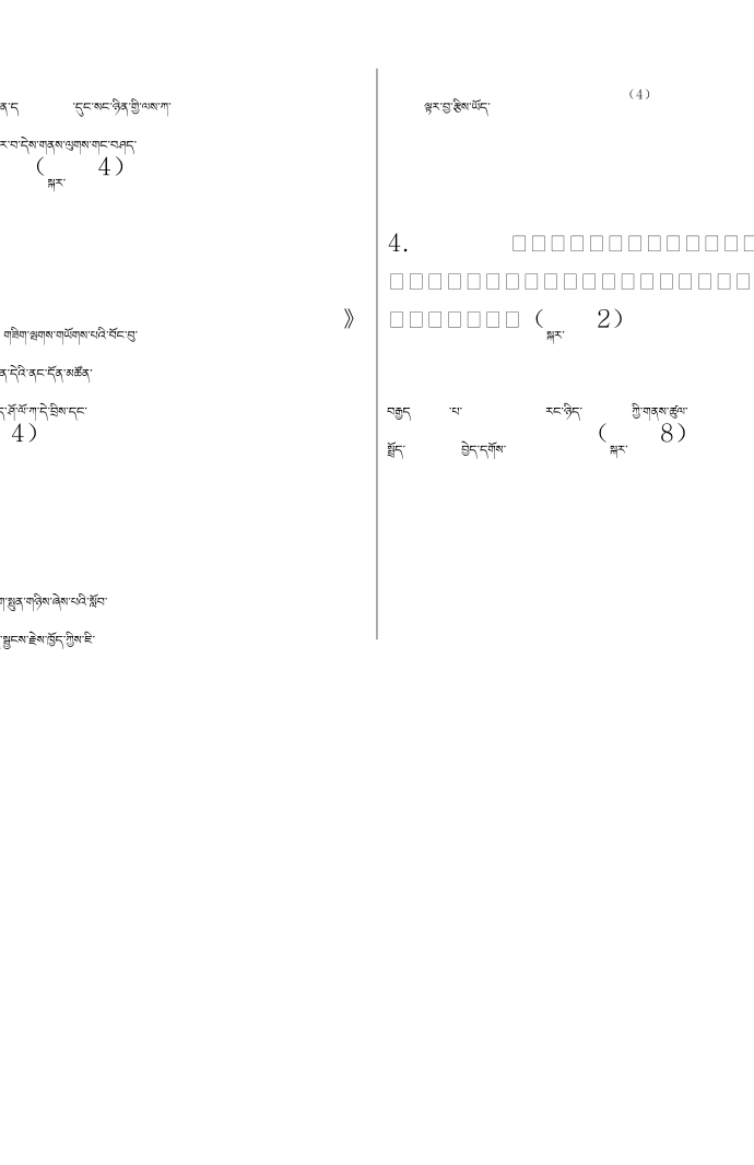 藏文二年级考试第3页
