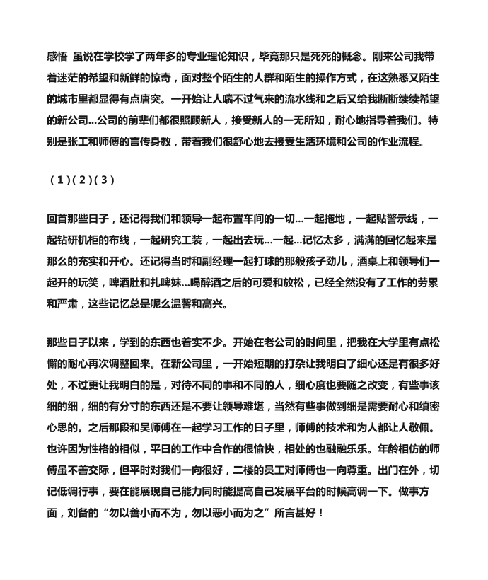 实习报告顶岗实习实习总结报告第3页