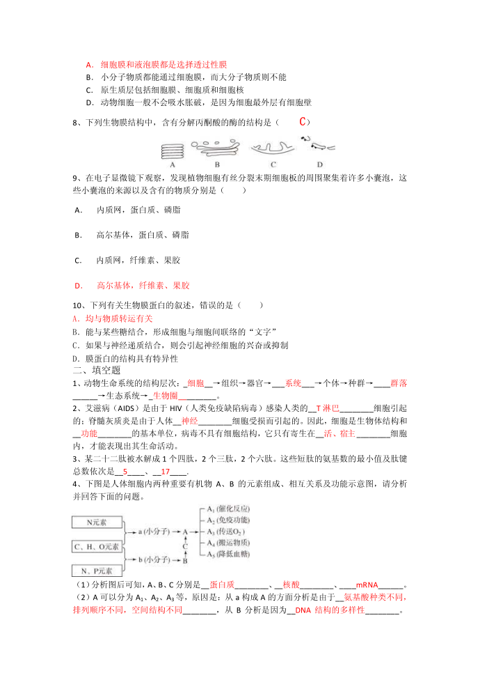 生物必修一试卷第2页