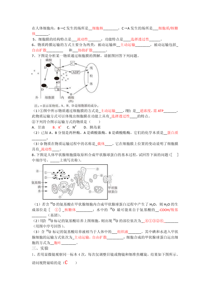 生物必修一试卷第3页