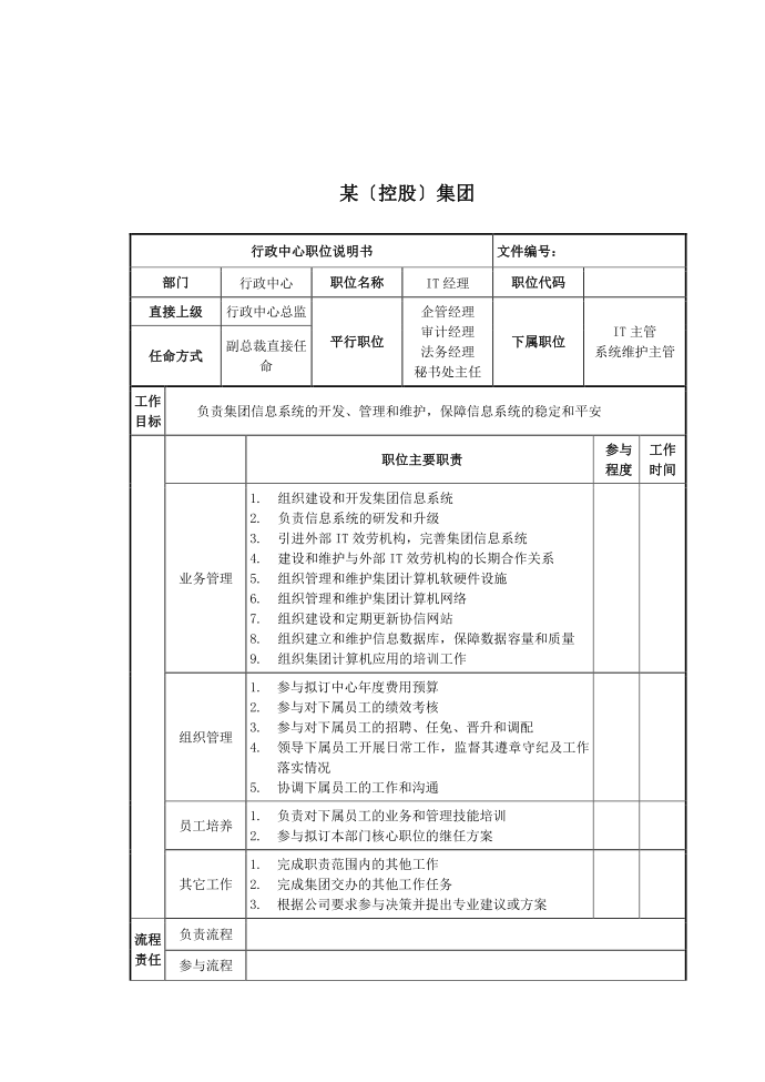 IT经理岗位说明书第1页