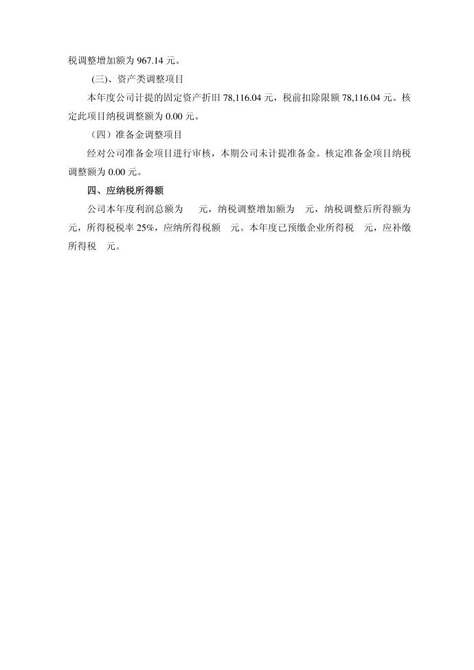 所得税报告模板第5页