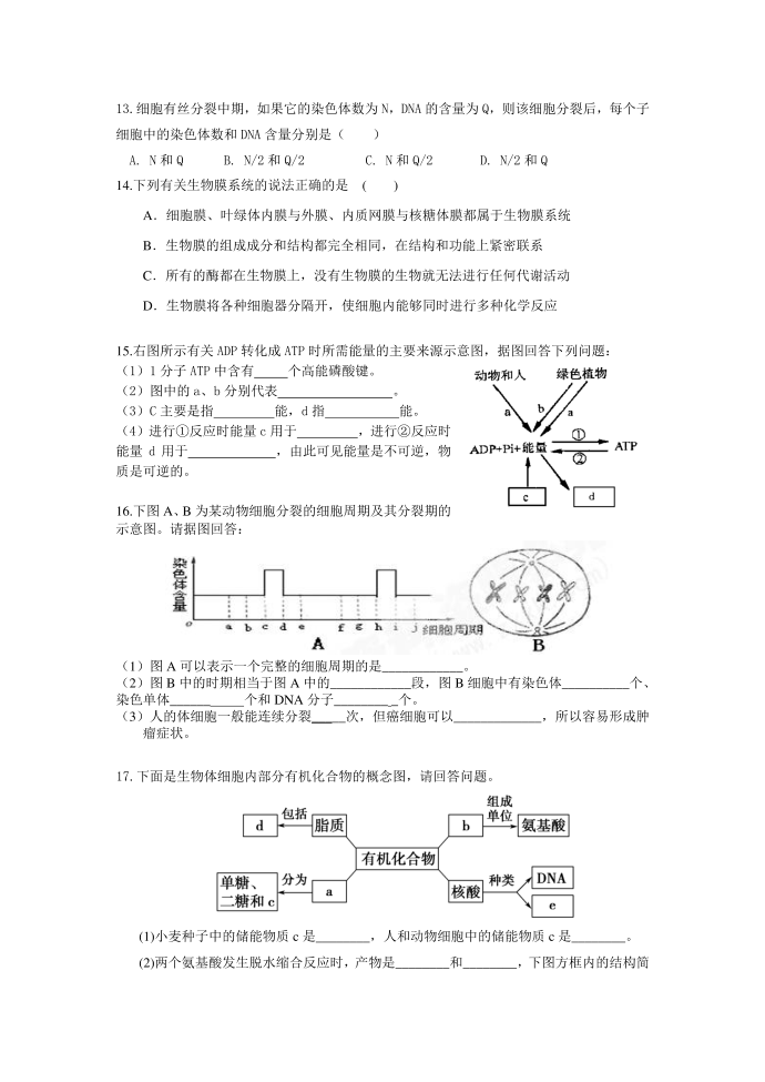 必修一试题第3页