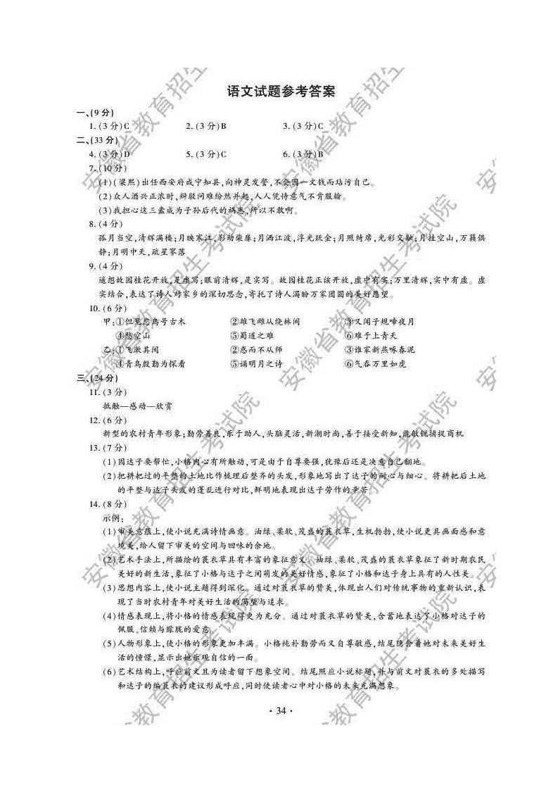 2015年安徽高考语文试题及答案第9页