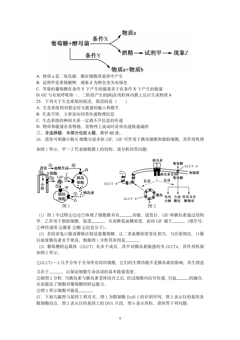 2019江苏省高考压轴卷生物试题生物试题第6页