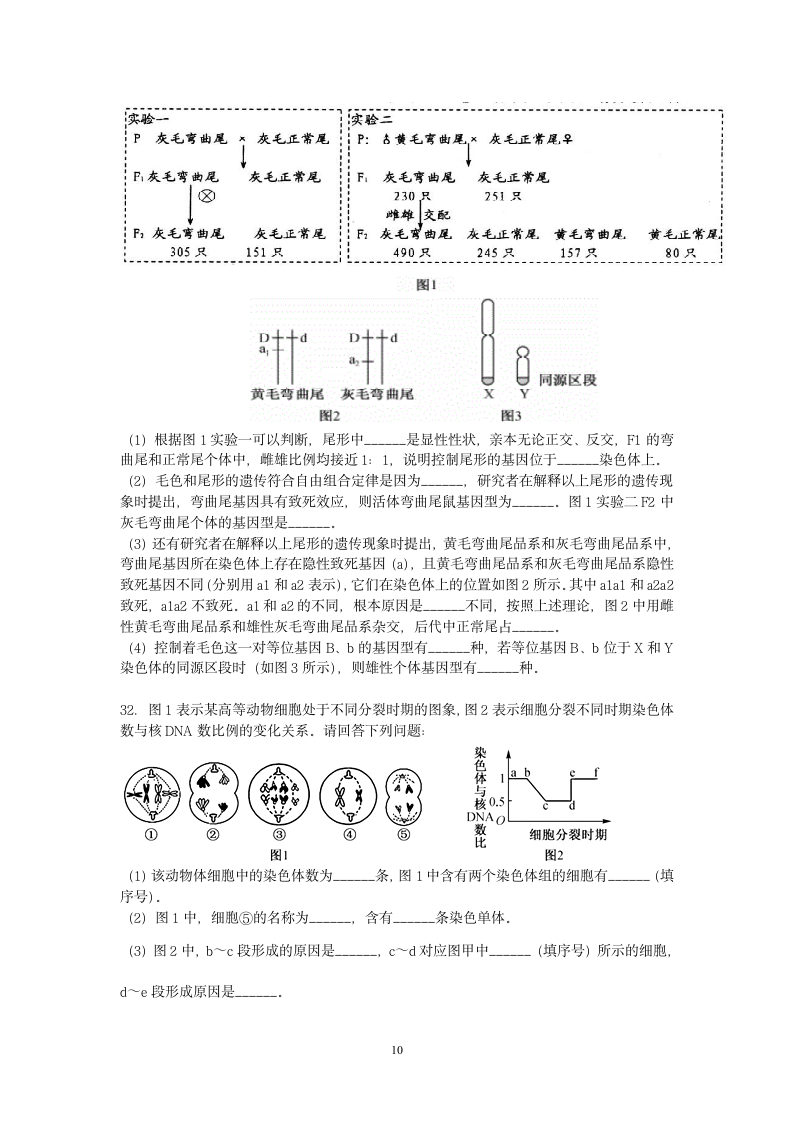 2019江苏省高考压轴卷生物试题生物试题第10页