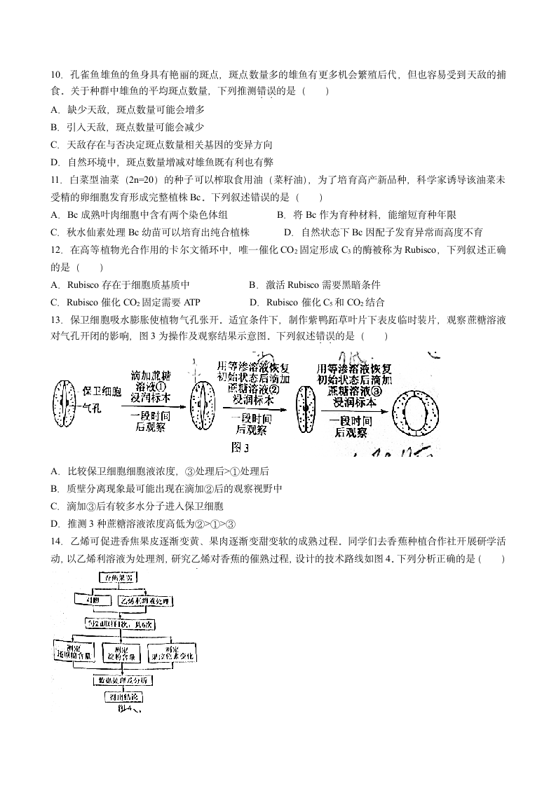 2021年广东省高考生物试题第3页