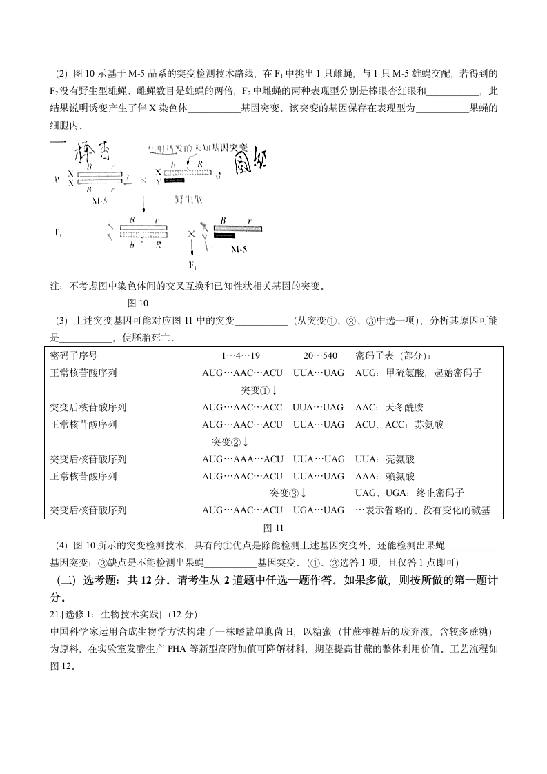 2021年广东省高考生物试题第7页