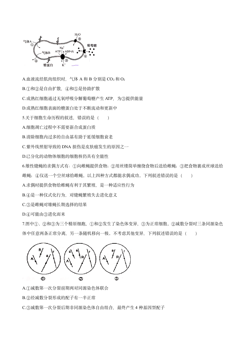 2021年河北省高考生物试题第2页