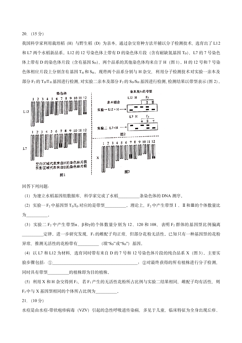 2021年河北省高考生物试题第7页