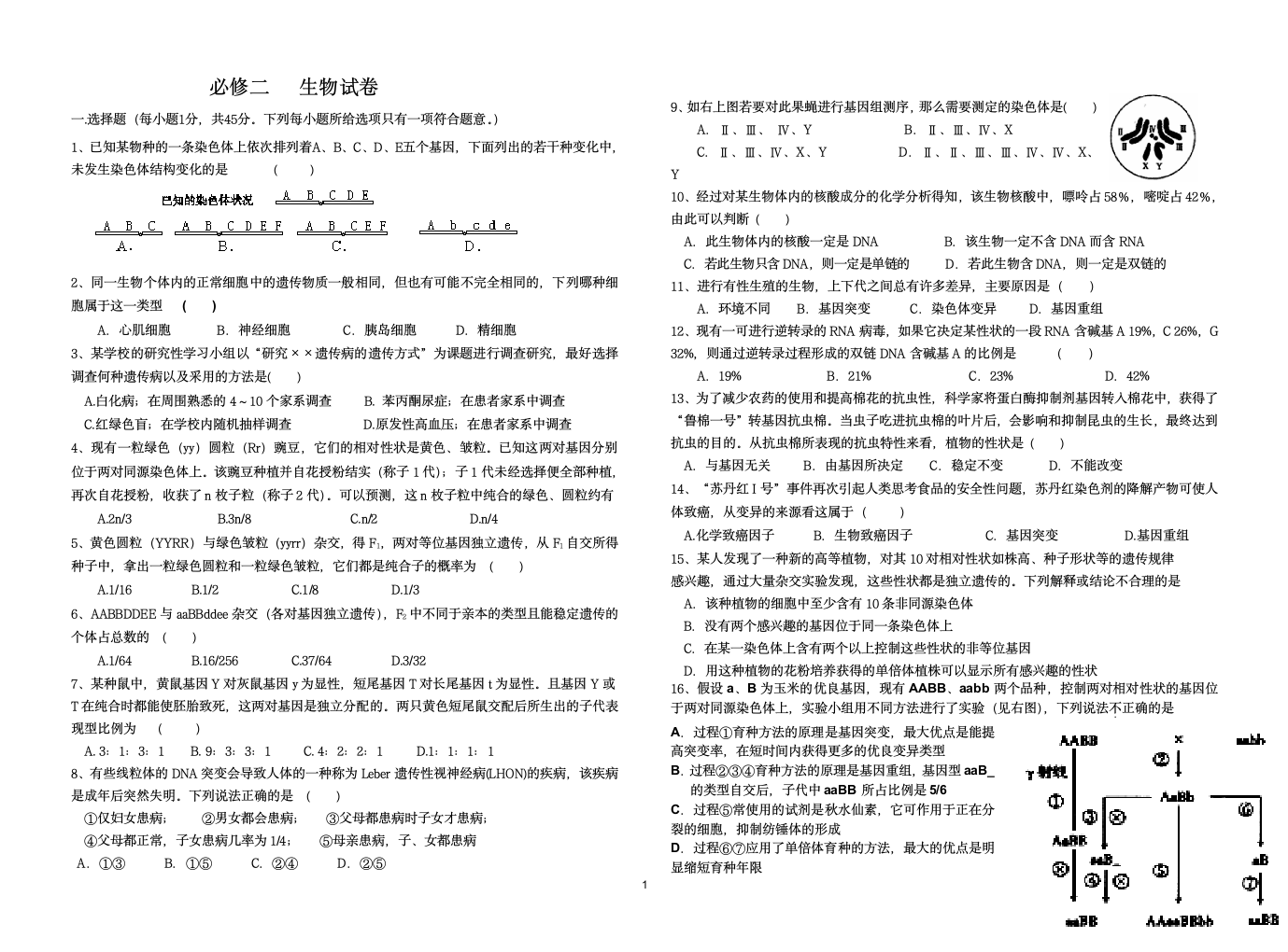 高二生物必修二试题及答案第1页