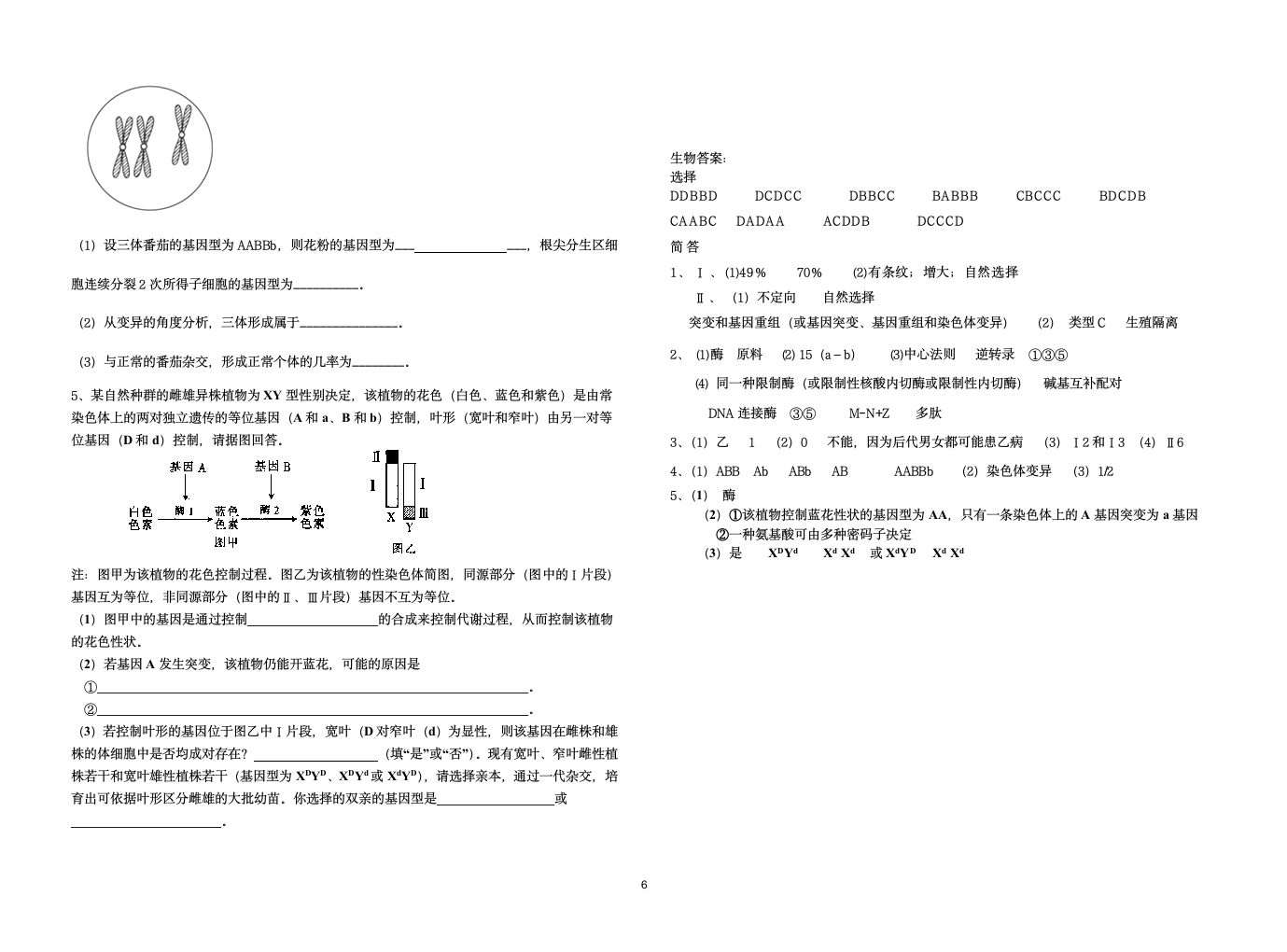 高二生物必修二试题及答案第6页