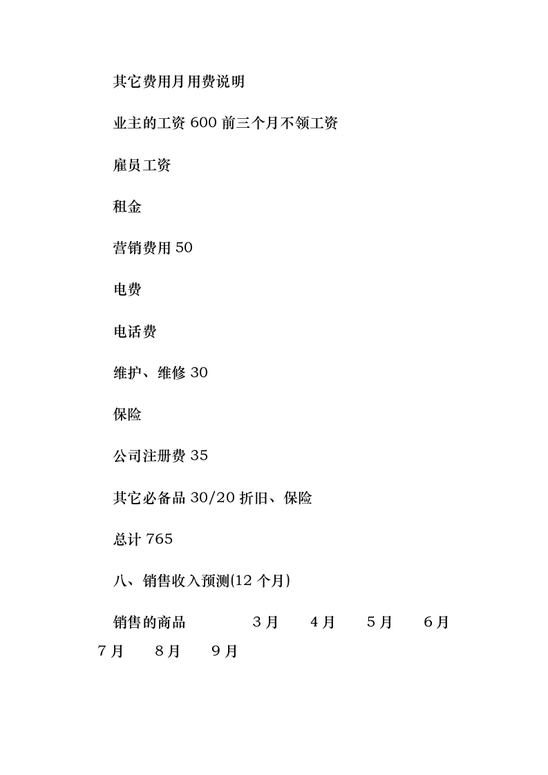 创业计划书范文.docx第11页