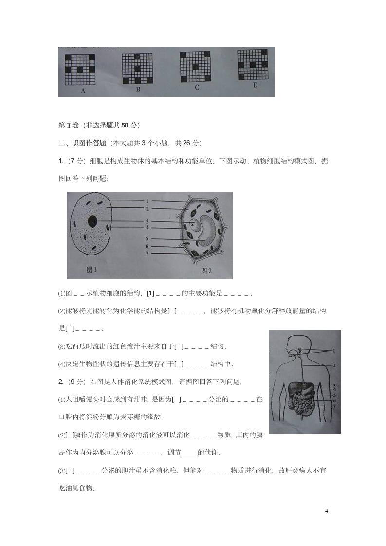 山东聊城初中会考生物试题第4页