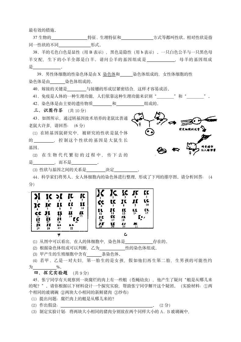 八年级下册生物期中考试试卷.docx第3页