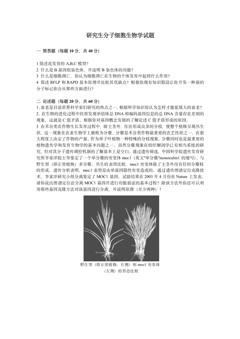 分子细胞生物学试题第1页