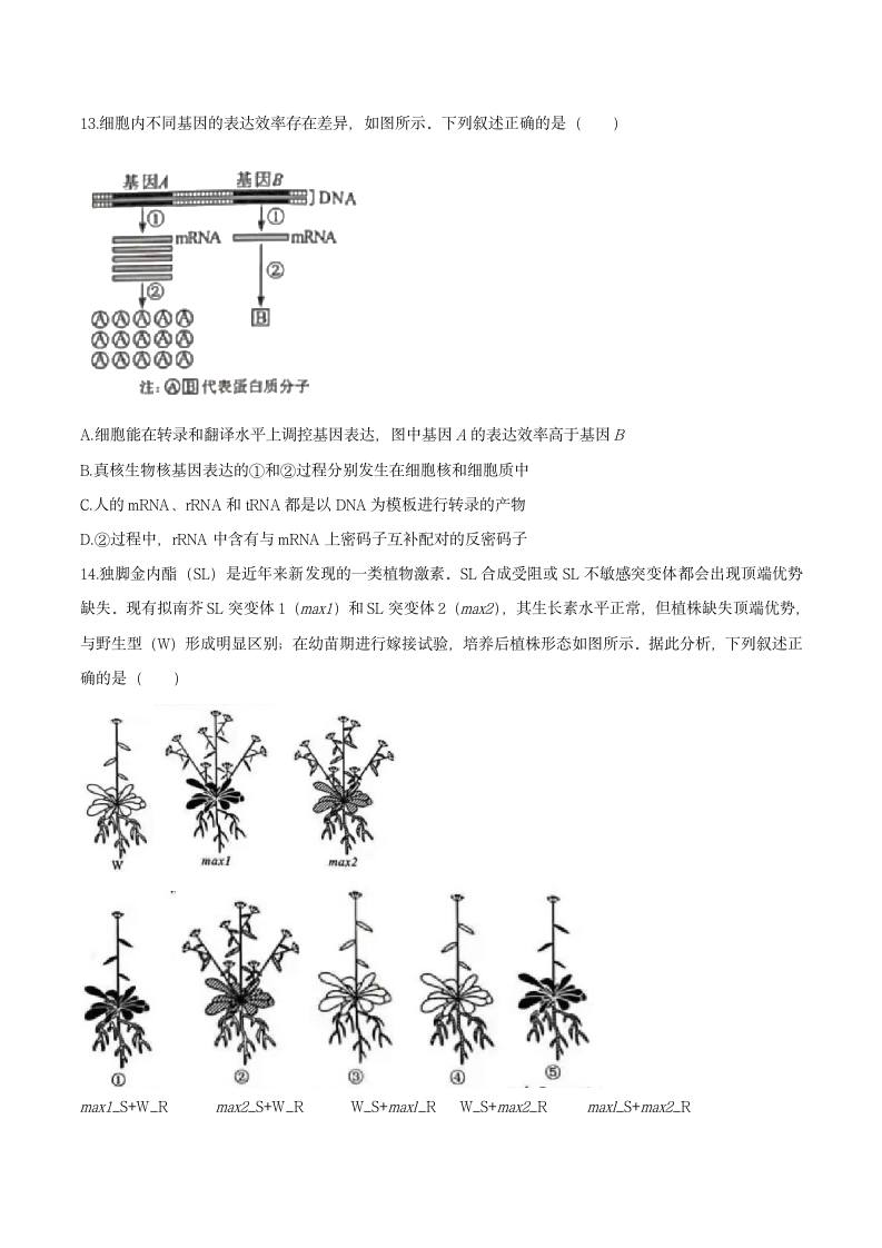 2021年新高考湖南生物高考真题第5页