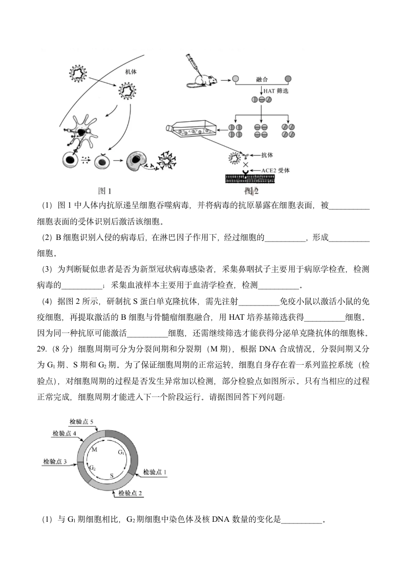 2020年江苏卷生物高考真题第9页