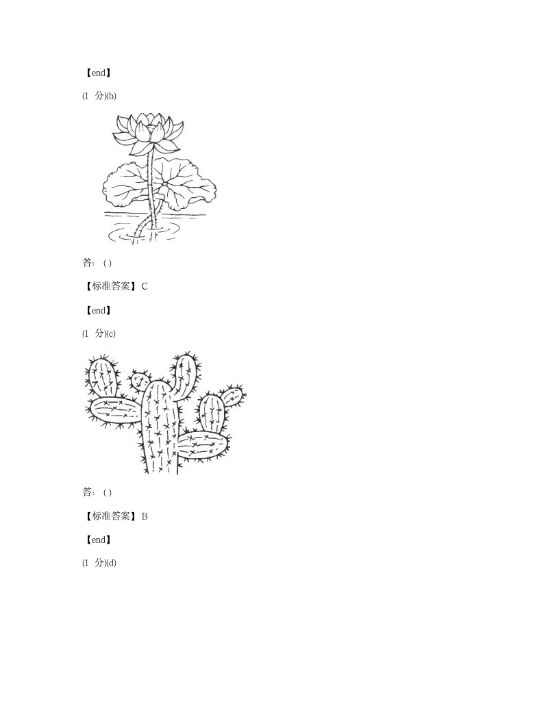 科学 - 试卷二.docx第5页