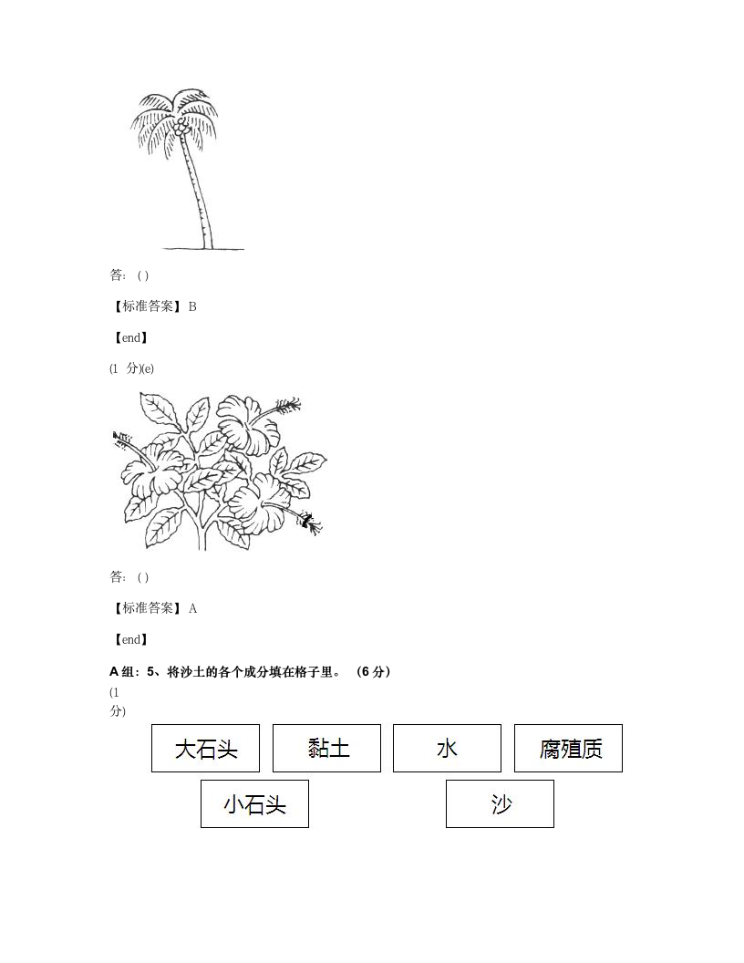 科学 - 试卷二.docx第6页