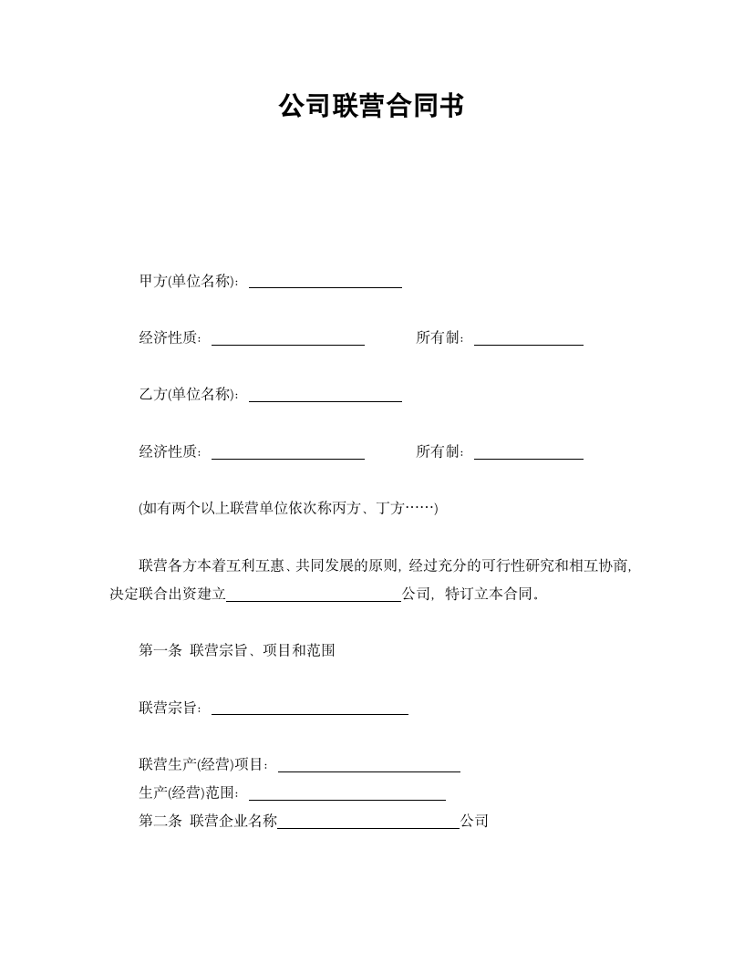 公司联营合同书.doc