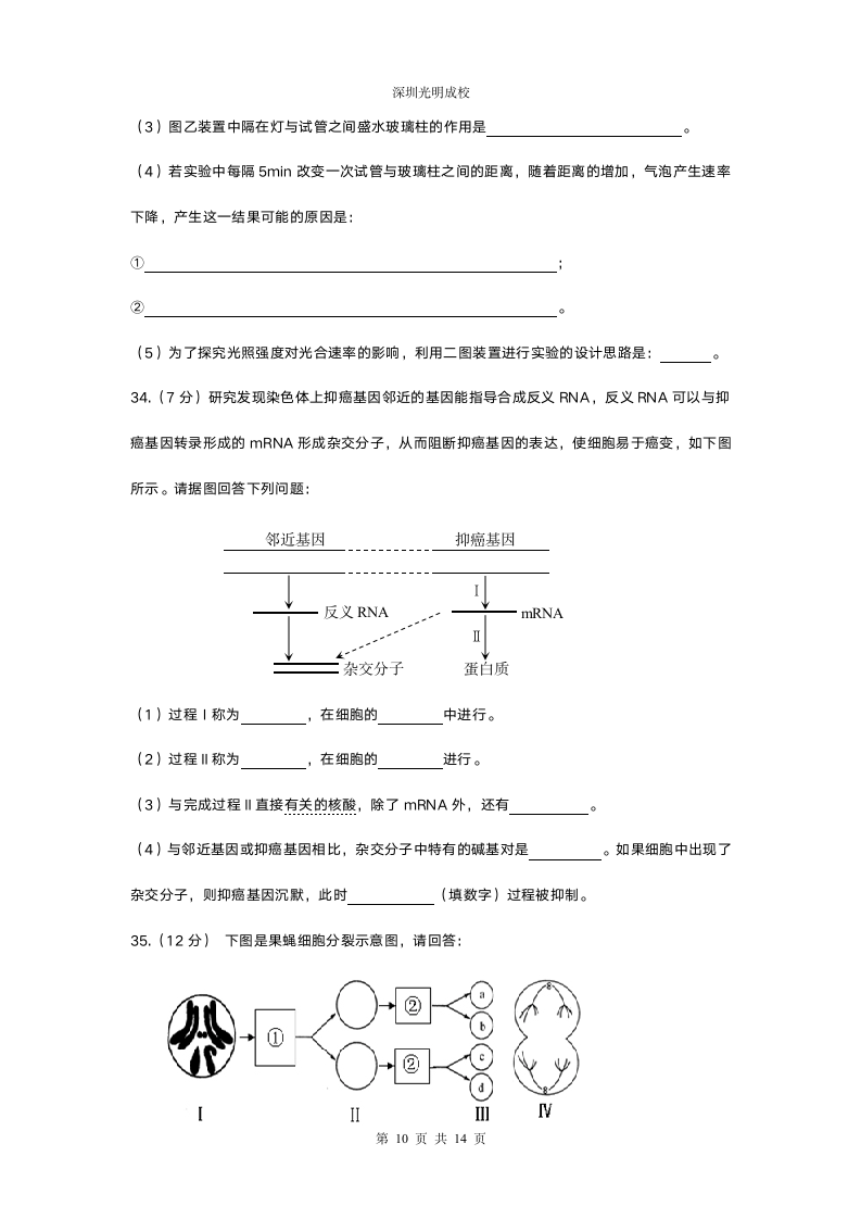 高考生物模拟试卷附答案(一)第10页