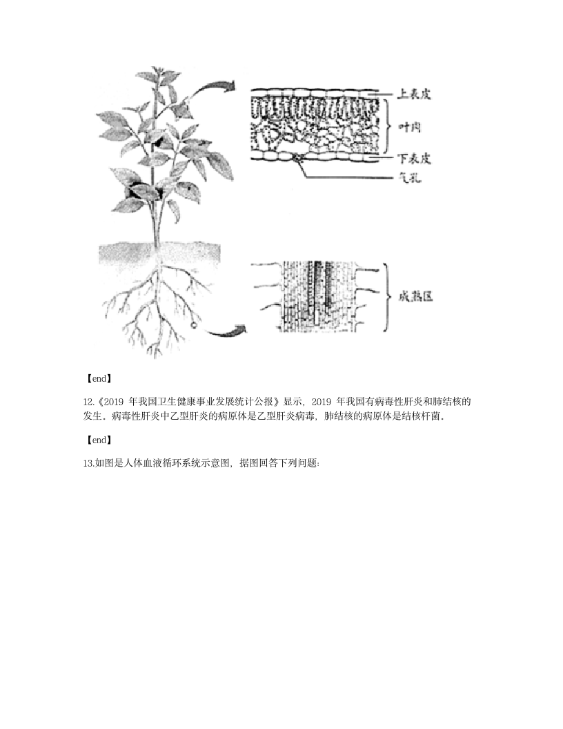 2020年安徽省中考生物试卷.docx第8页