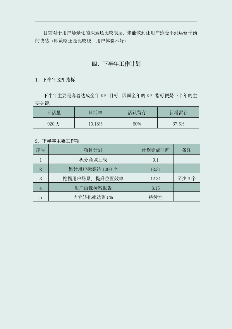 用户运营年度工作总结.docx第6页